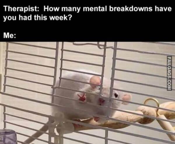 Random Funny Memes 7