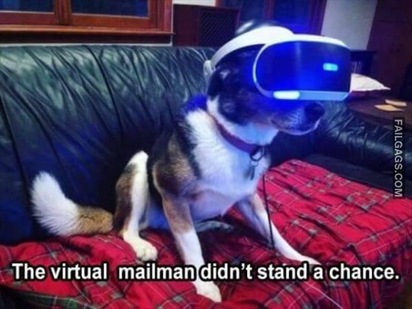 Random Funny Memes 8 5