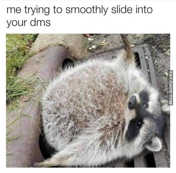 Random Funny Memes 8 7