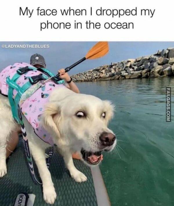 Random Funny Memes 9 11