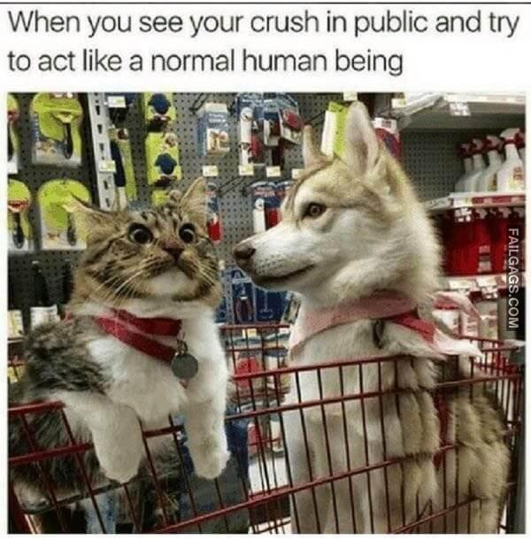 Random Funny Memes 1