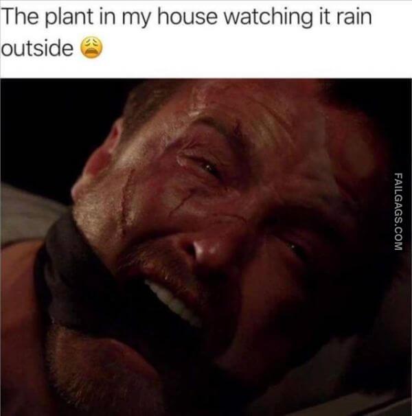 Random Funny Memes 11 2