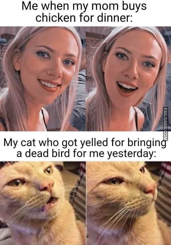 Random Funny Memes 11