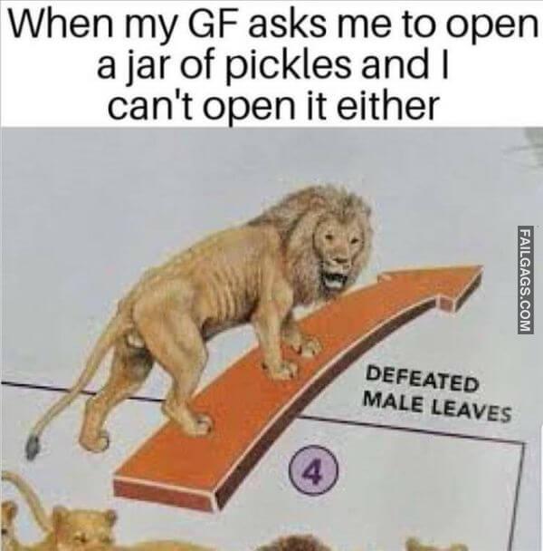 Random Funny Memes 13 2