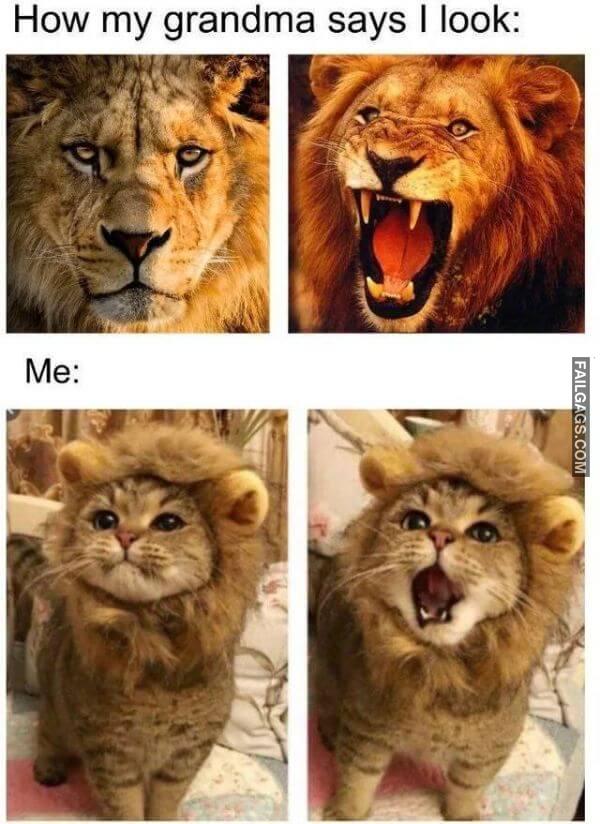 Random Funny Memes 3 3