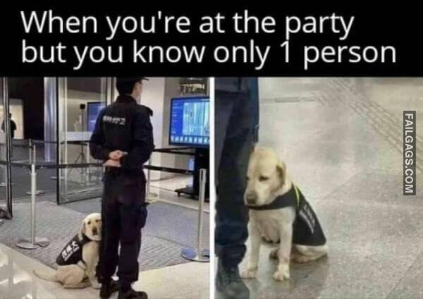 Random Funny Memes 5