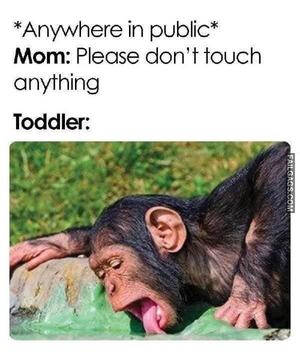 Random Funny Memes 7