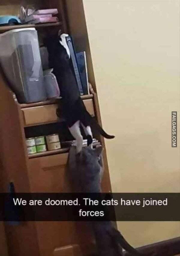 Random Funny Memes 8