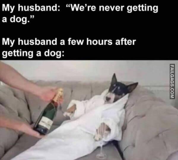 Random Funny Memes 11