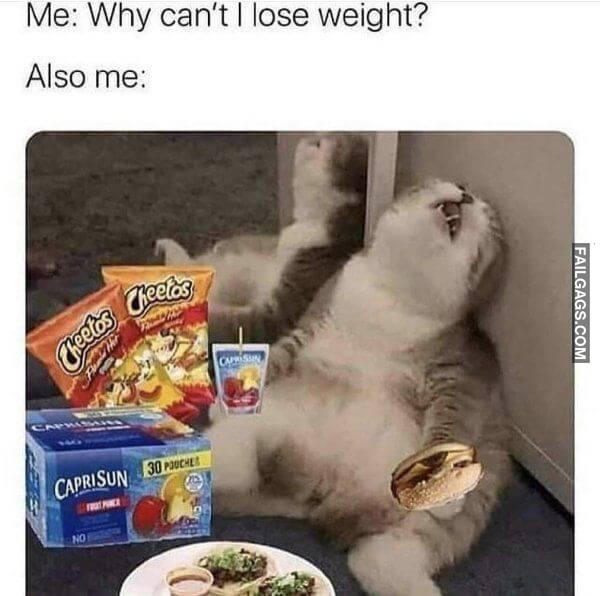 Random Funny Memes 12 3