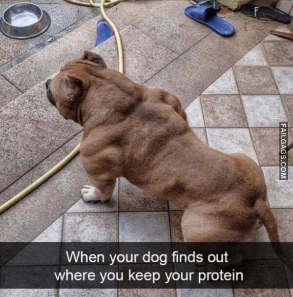 Random Funny Memes 2