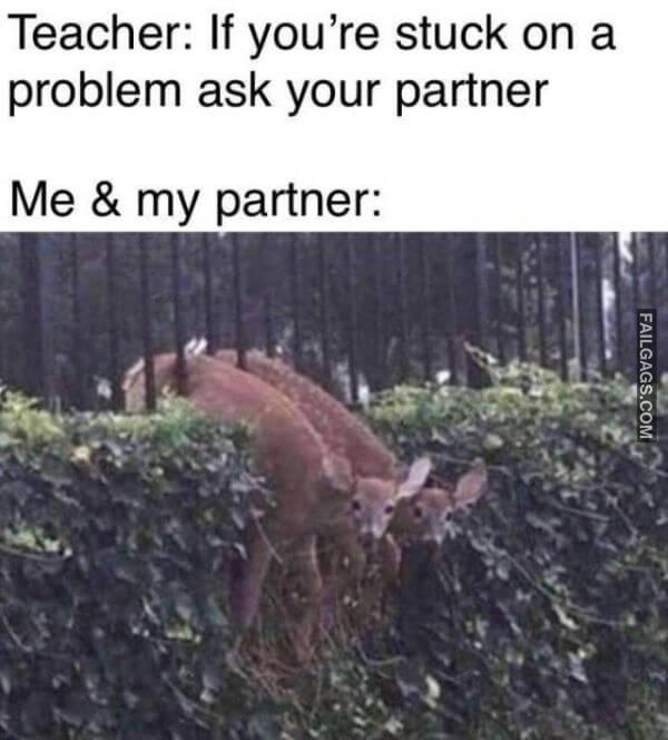 Random Funny Memes 5 1