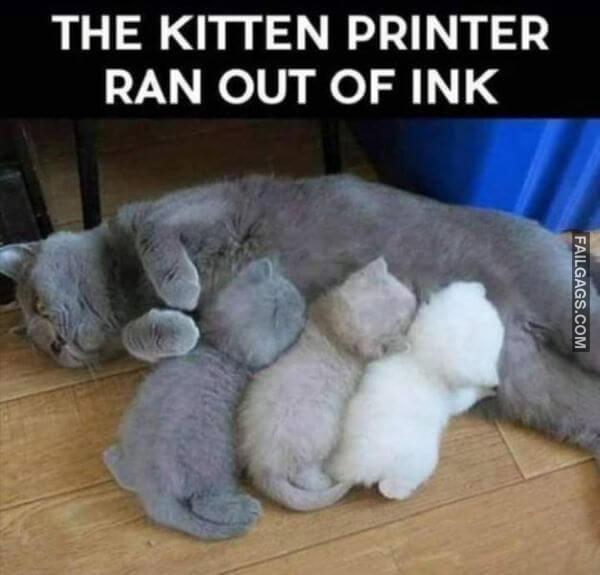 Random Funny Memes 5