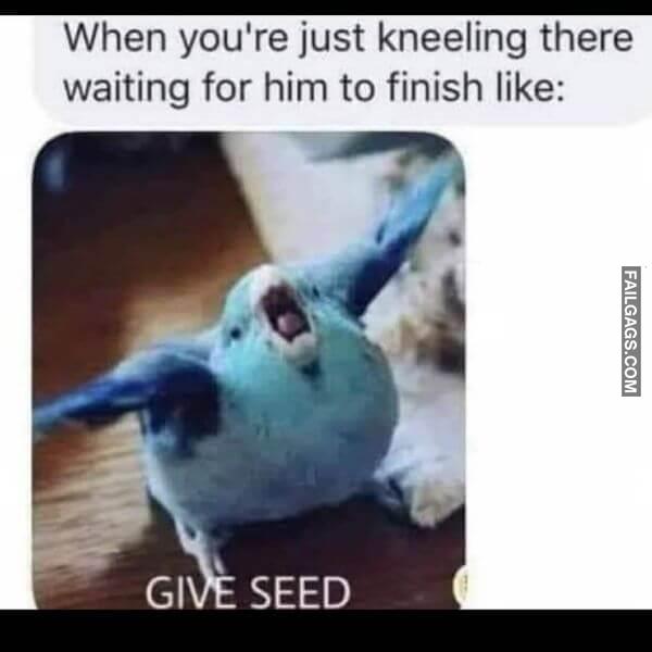 Funny Adult Memes 1 2