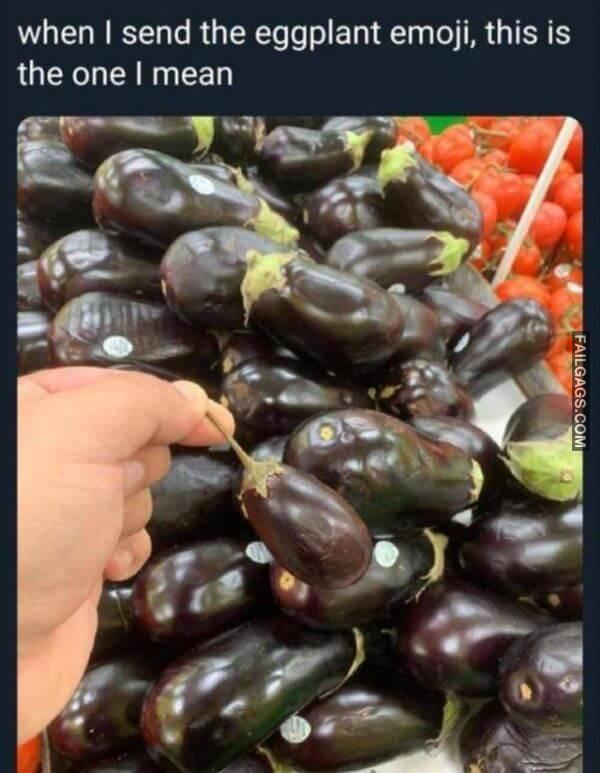 Random Funny Memes 7 4