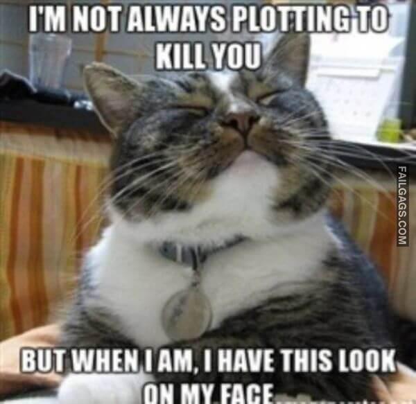 Funny Dirty Memes 10