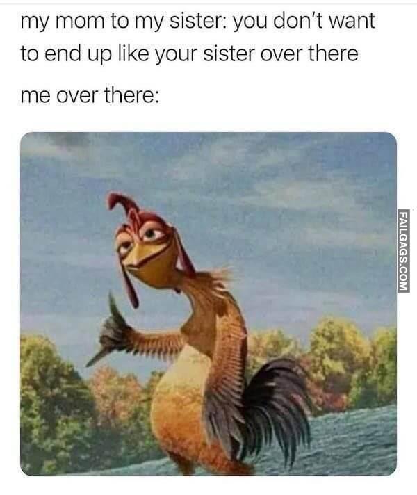 Funny Memes for Women 2