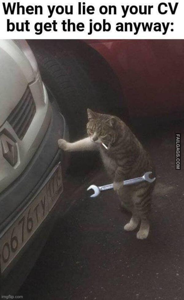 Random Funny Memes 1 1