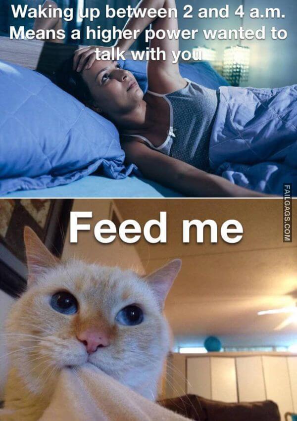 Random Funny Memes 1 3