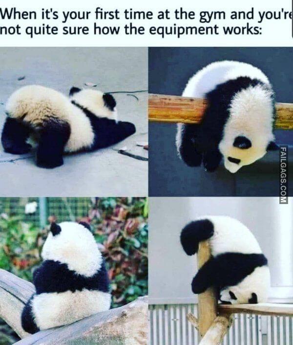 Random Funny Memes 1