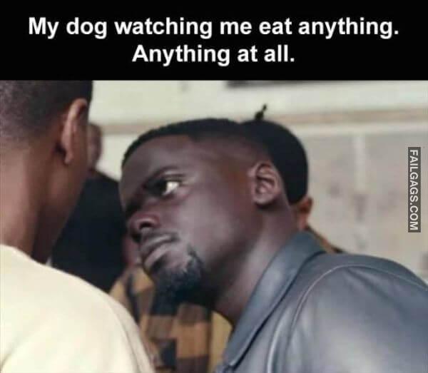 Random Funny Memes 10 3