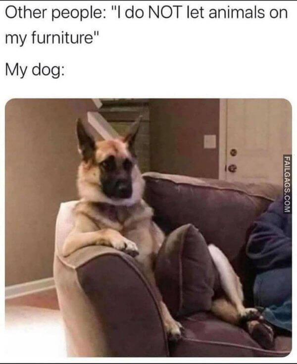 Random Funny Memes 12