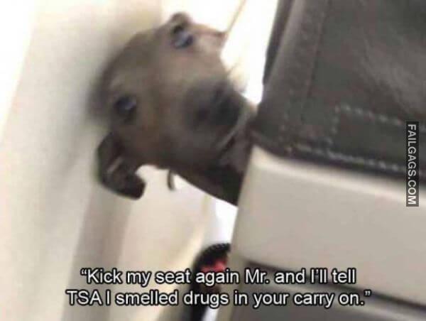 Random Funny Memes 13 1