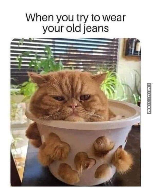 Random Funny Memes 2 6