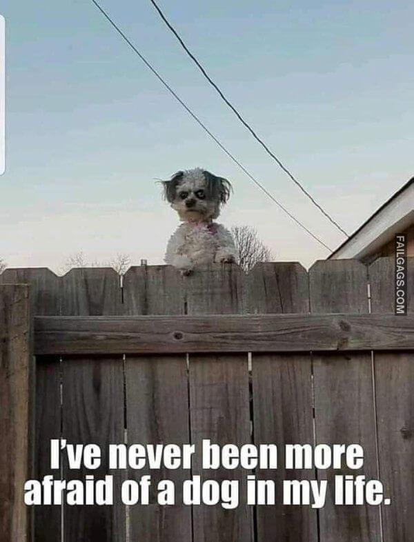 Random Funny Memes 4 1