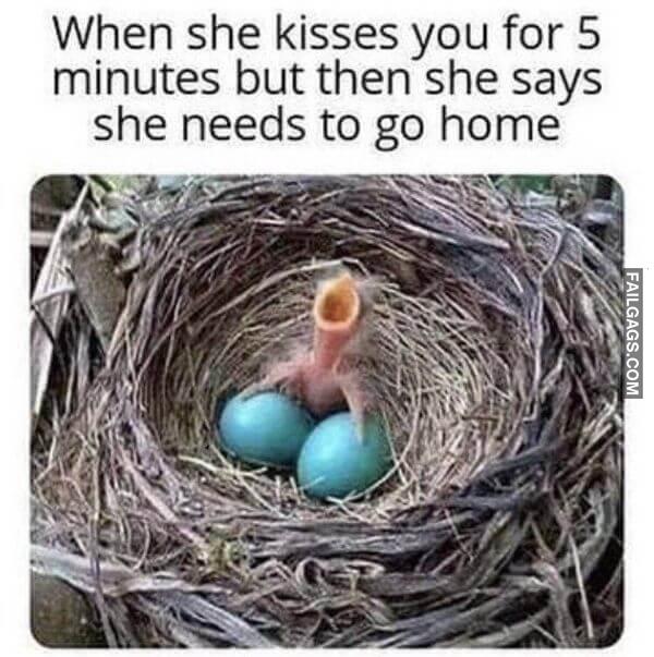 Random Funny Memes 4 3