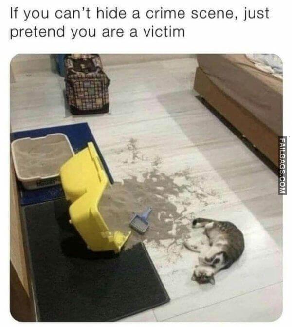 Random Funny Memes 4 6