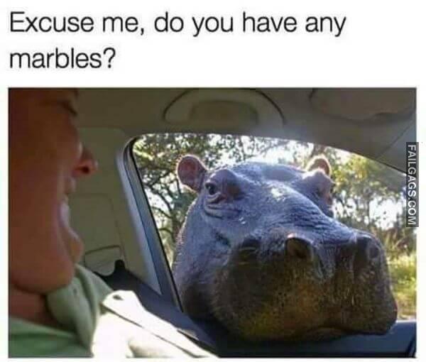 Random Funny Memes 4 8