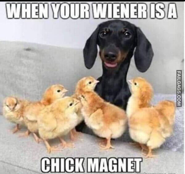 Random Funny Memes 5 8