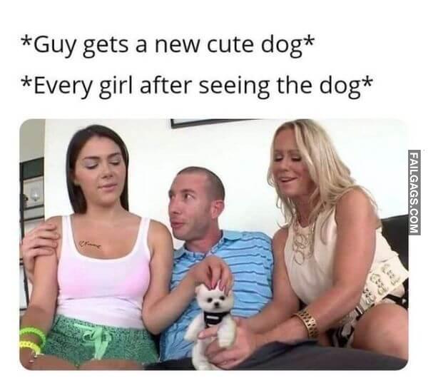 Guy Gets a New Cute Dog Every Girl After Seeing the Dog Dirty Memes
