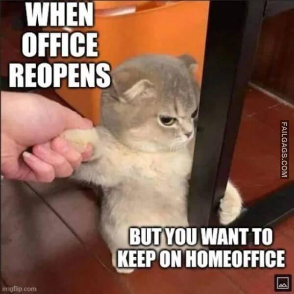 Random Funny Memes 11 1