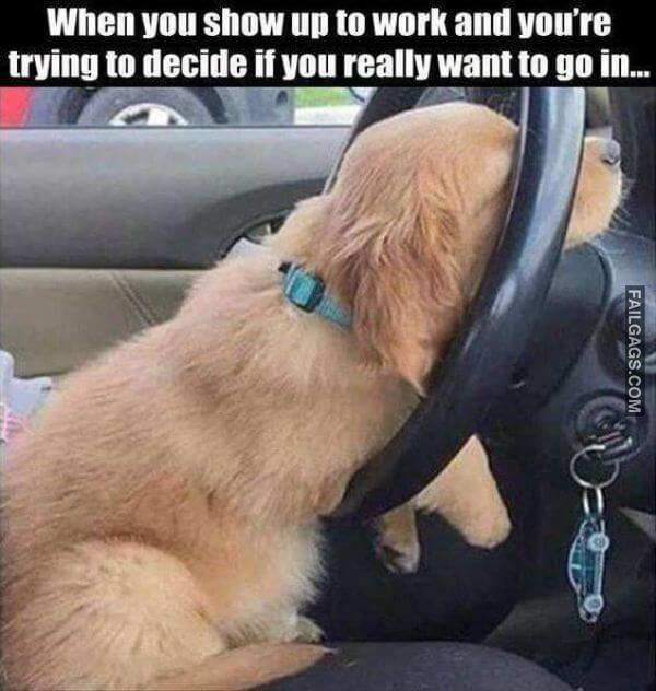 Random Funny Memes 13