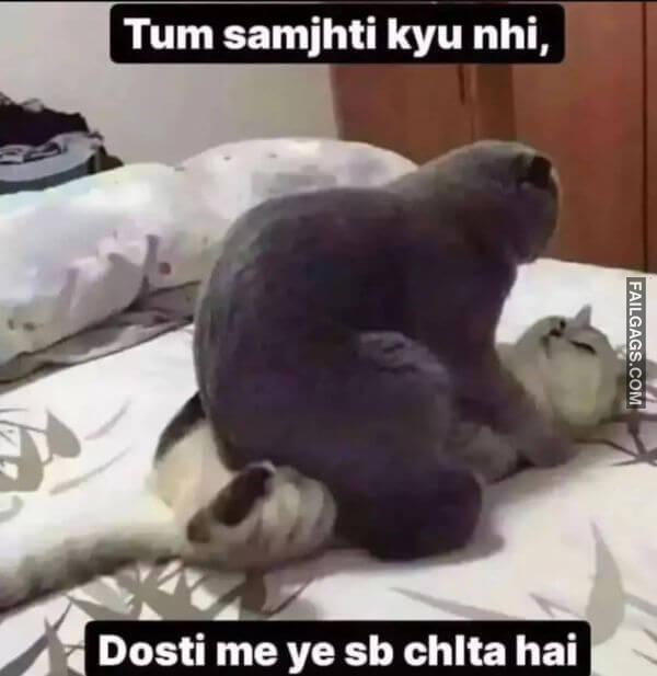 Adult Hindi Memes 13