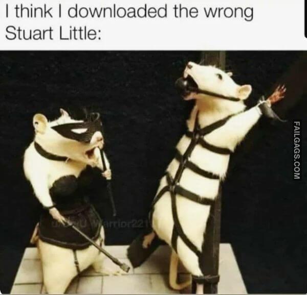 Funny Adult Memes 11