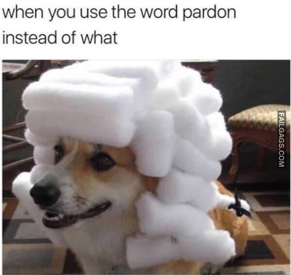 Random Funny Memes 10