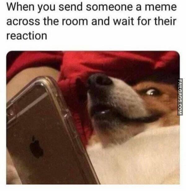 Random Funny Memes 5 8