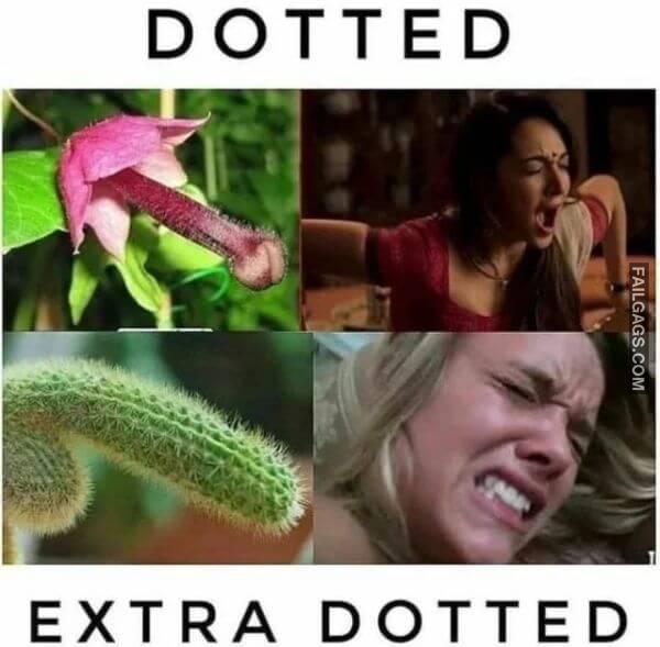 Dotted Extra Dotted Funny Adult Memes