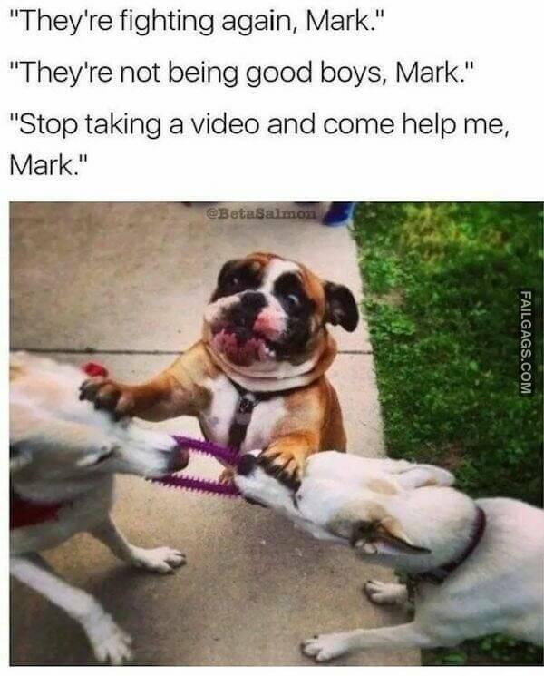 Random Funny Memes 12 15