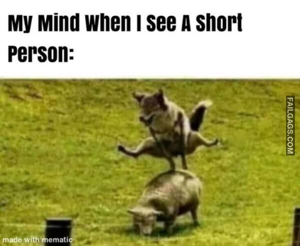 Random Funny Memes 14 5