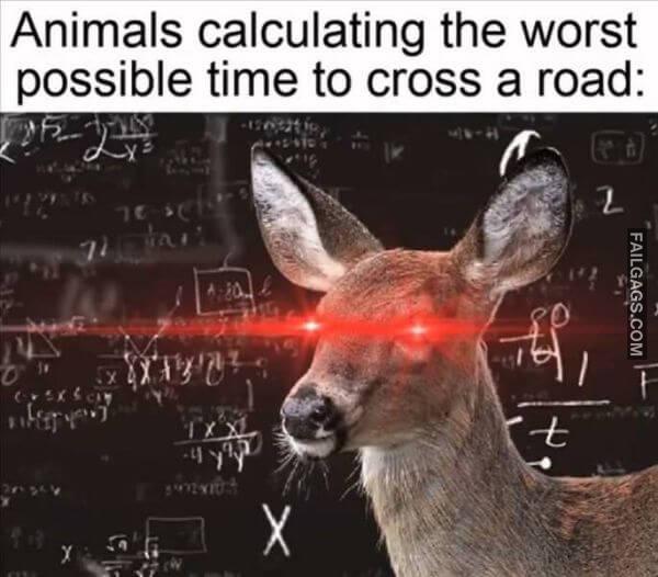 Random Funny Memes 14 8