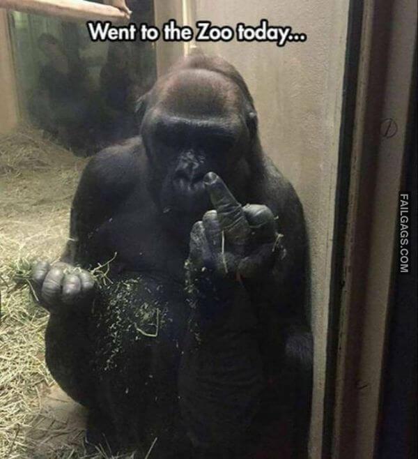 Random Funny Memes 5 14