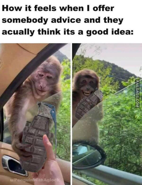 Random Funny Memes 5 9