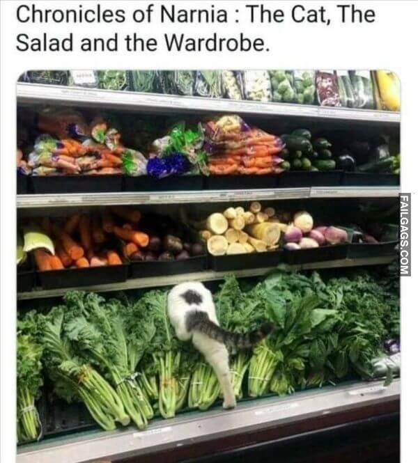 Random Funny Memes 7 2