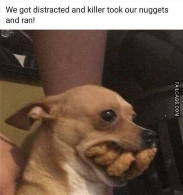 Random Funny Memes 8 2