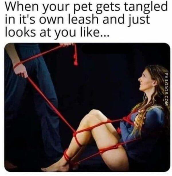 Funny Dirty Memes for Adults 10