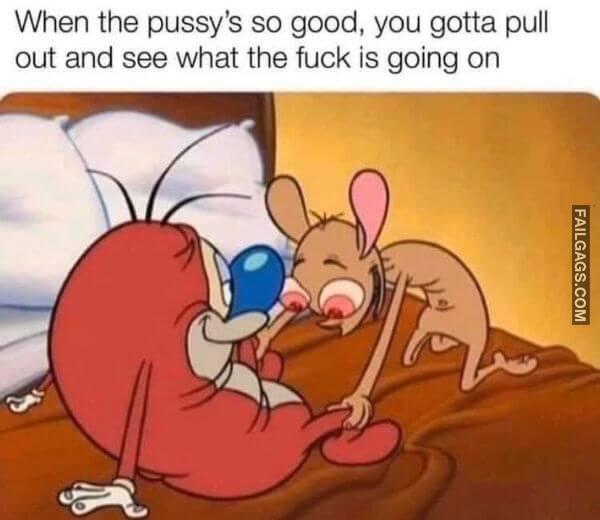 Hilarious Sex Memes 8
